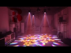 ミニモデル プリズム RGBW ショウ 6 ミツバチの目光